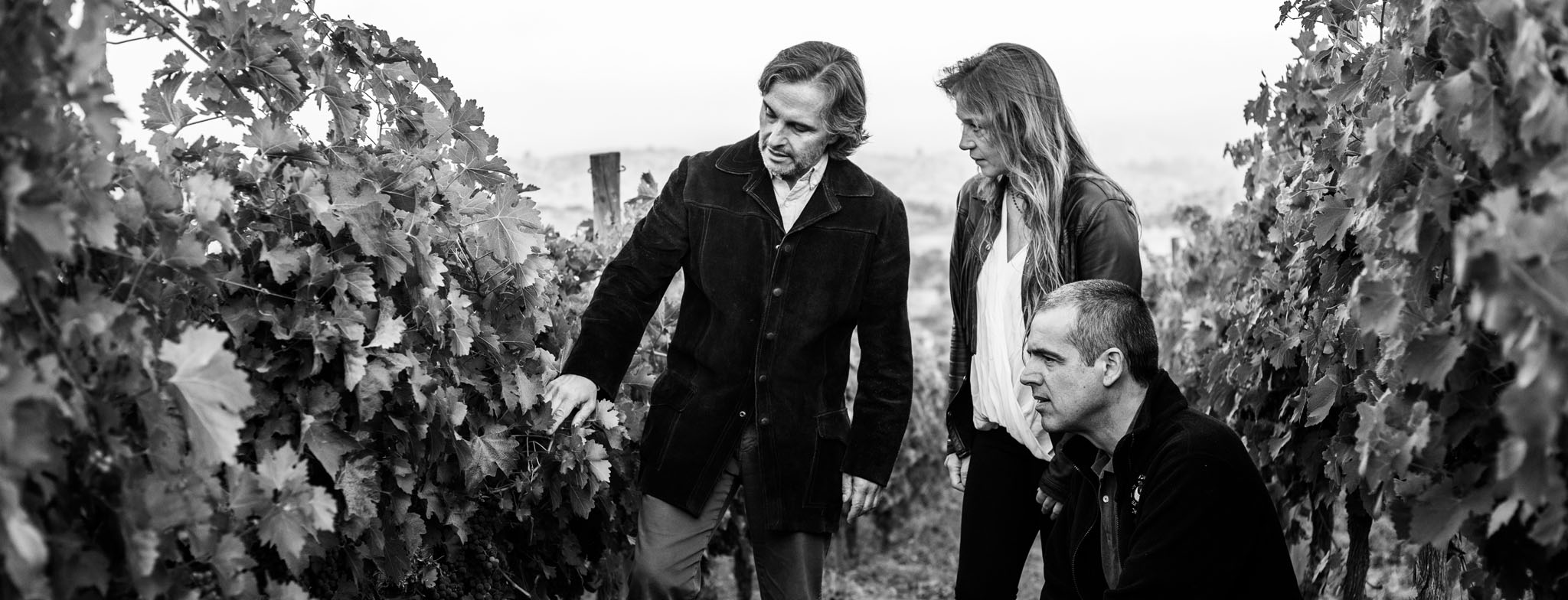 vina-dagaz-pumanque-vineyard